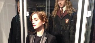 Emma Watson and British celebs reunite at Lumos fundraiser
