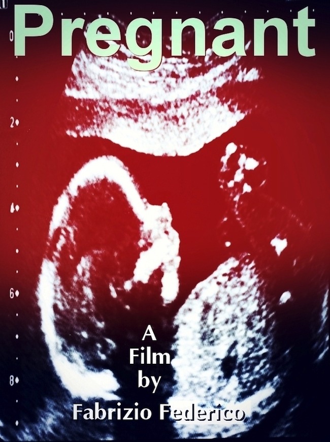 movie-pregnant-poster