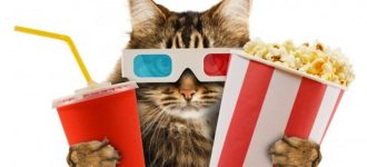 The world's first Cat Cinema is coming to London